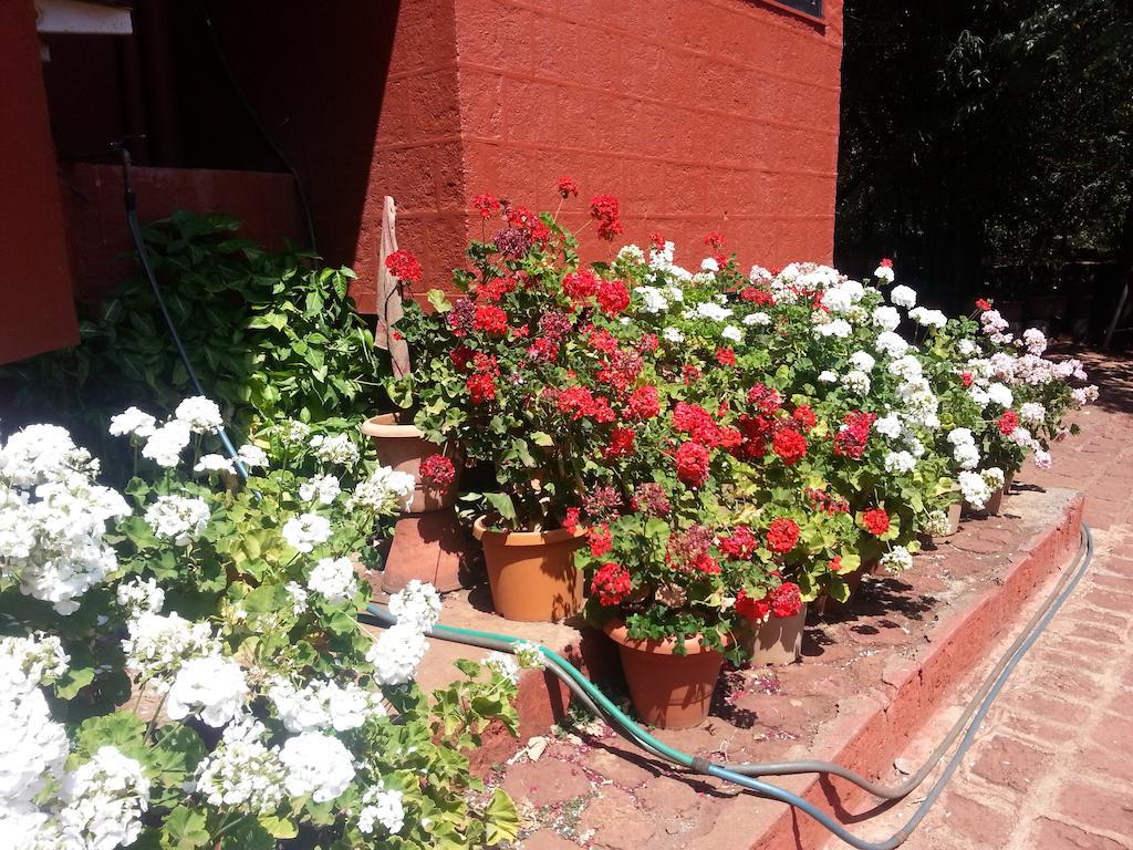 Hotel Tree Top Mahabaleshwar Exterior photo